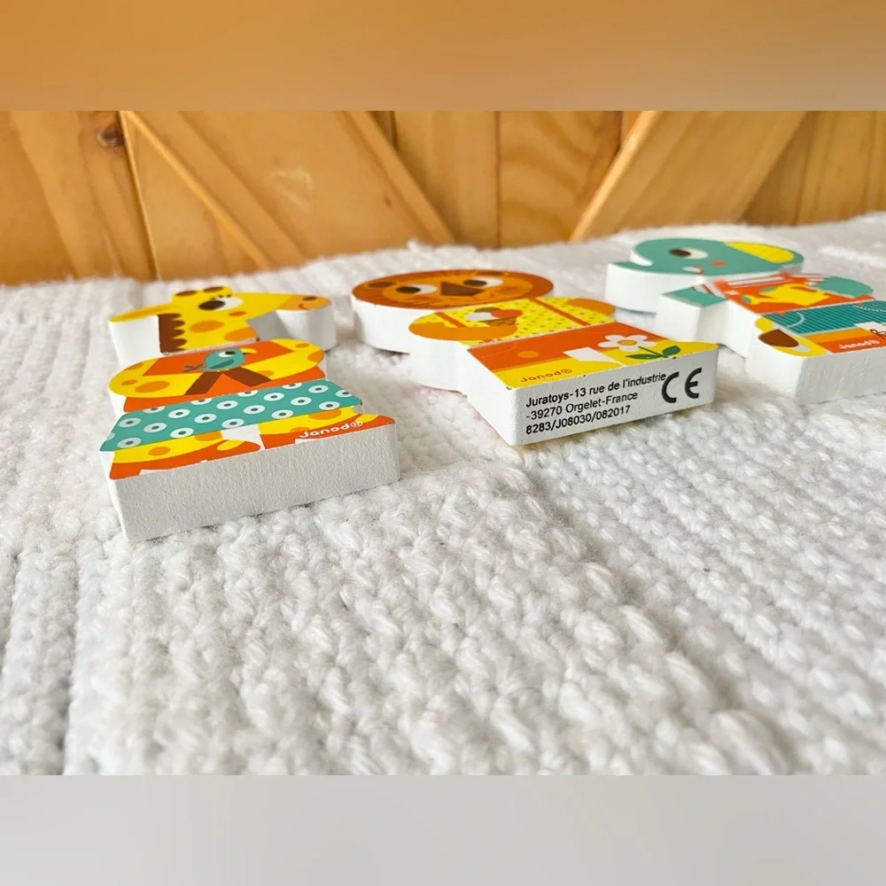 Janod Wooden Magnetic Toy